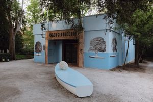 Exhibition view: Oto Hudec, _Floating Arboretum_, Slovak Pavilion, The 60th International Art Exhibition, La Biennale di Venezia, Venice (20 April–24 November 2024). Courtesy La Biennale di Venezia. Photo: Matteo de Mayda.